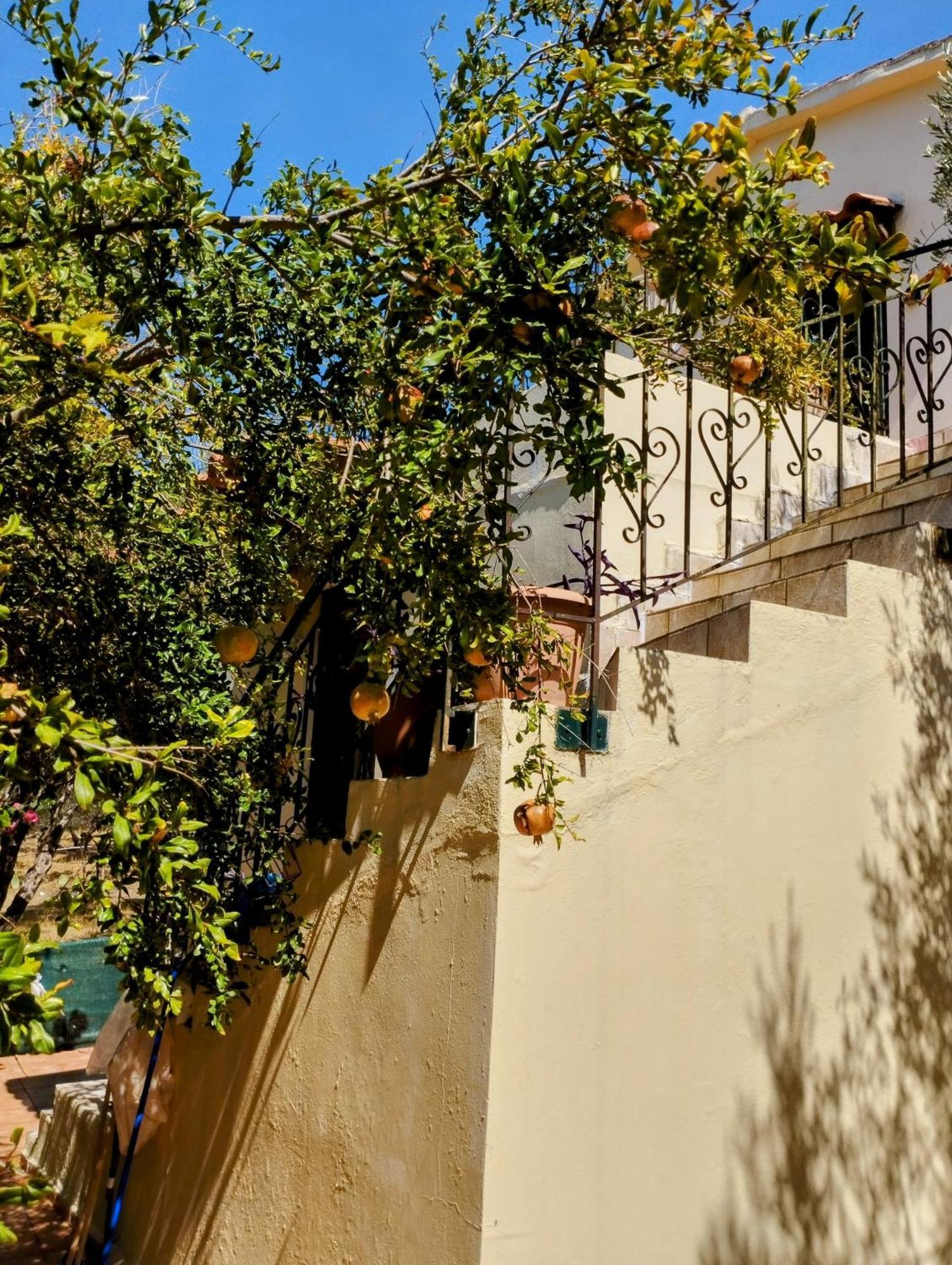 Ktima Tzamika Apartman Episzkopí Kültér fotó