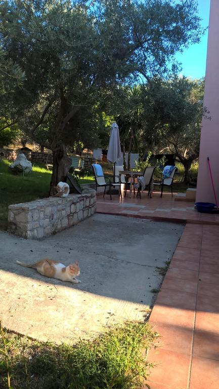 Ktima Tzamika Apartman Episzkopí Kültér fotó