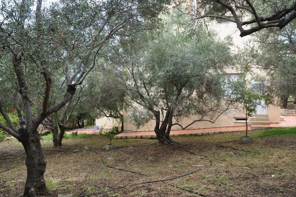Ktima Tzamika Apartman Episzkopí Kültér fotó